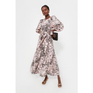 NWT Tuckernuck Pressed Powder Toile Lyles Dress Size XS Floral $298